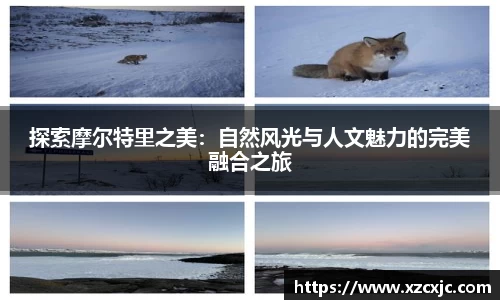 优游平台